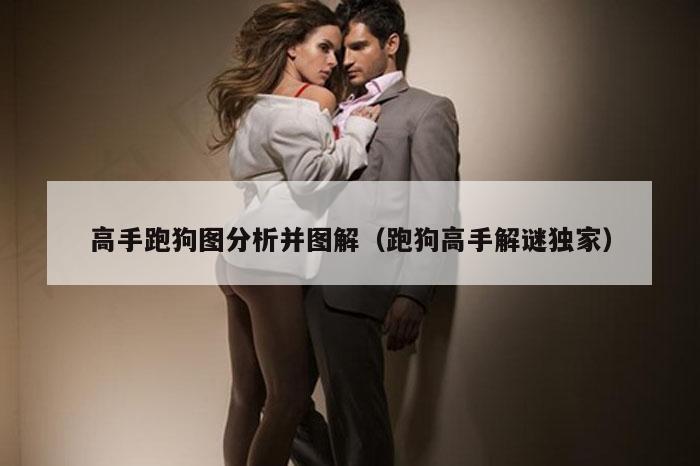 高手跑狗图分析并图解（跑狗高手解谜独家）